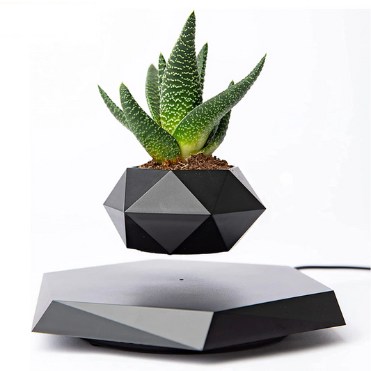 Levitating Plant Pot for Succulents